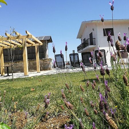Abrigo Das Andorinhas Aveiro Eksteriør billede