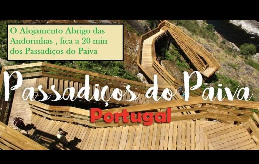Abrigo Das Andorinhas Aveiro Eksteriør billede